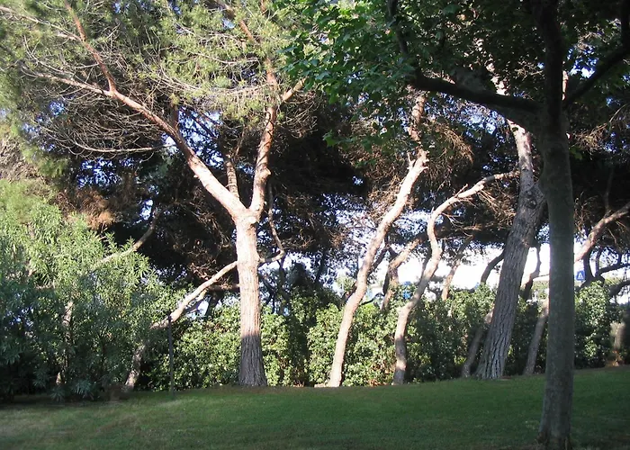 I Pioppi Argentati Bed & Breakfast Giulianova