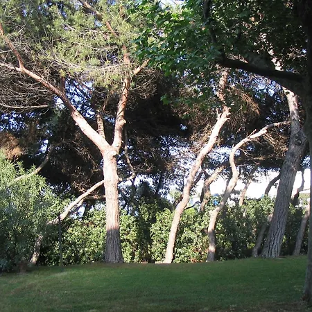 I Pioppi Argentati לינה וארוחת בוקר ג'וליאנובה